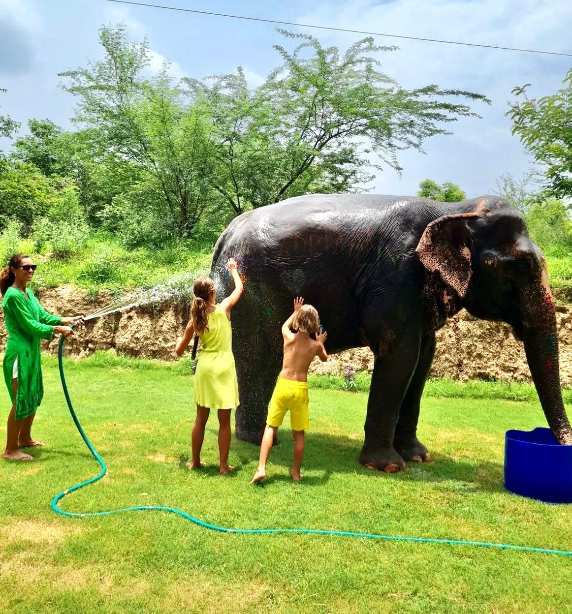 WhatsApp Image 2025-08-08 at 9.25.37 AM (15)