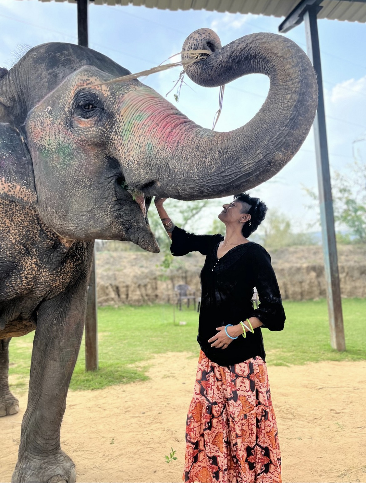 Elephant Language Learning Experience