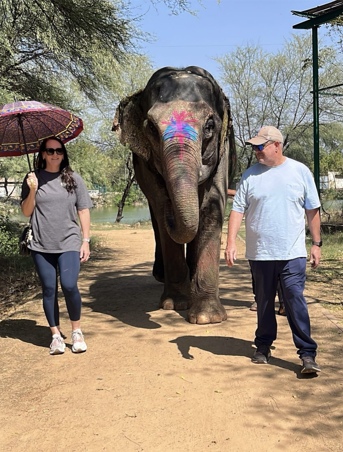 Walking with Elephants in Village